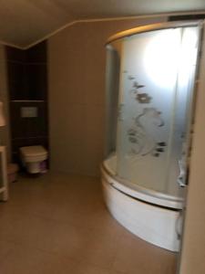 卡特佩Villa ARDEN的浴室配有淋浴和卫生间。