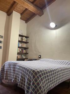 圣斯特凡诺·迪塞斯Terra della Baronia的一间卧室设有一张床和一个书架
