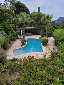 勒·雷约尔·卡纳德尔·苏尔Rayol Villa Saphir的棕榈树花园内的游泳池