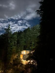 麦罗肯机Eevolve Dharamkot - An Eco Hostel的森林中的房子