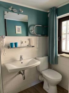 拉姆绍伯格巴赫旅馆的一间带水槽、卫生间和镜子的浴室