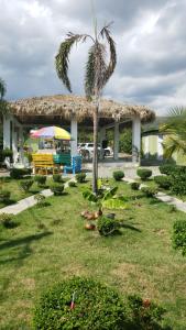 SJMCasa de Campo Nerys的棕榈树和建筑的度假村