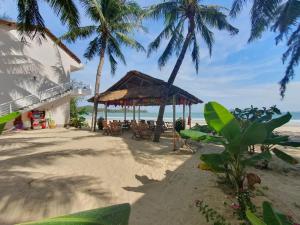 Song CauLucky Spot Beach Bungalow的海滩上拥有餐厅、棕榈树和大海