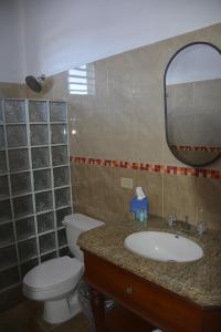 拉哈斯Turtle Bay Inn的一间带卫生间、水槽和镜子的浴室