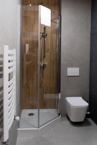 下乌斯奇基Lynks Resort的设有带卫生间的浴室内的淋浴间