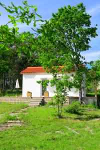 帕雷迪什迪科拉Casinha Rubiães的院子中一棵树的小白色房子