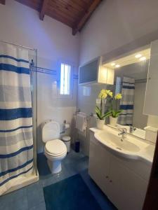 阿特米达Jenny's Guesthouse!的浴室配有卫生间、盥洗盆和淋浴。