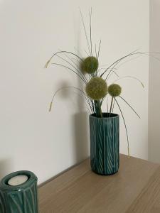 维亚纳堡B Apartamentos Castelo的绿花瓶,桌子上放着植物