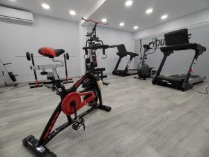 乐托卡亚MAK Apartments的健身房,室内配有几辆健身自行车