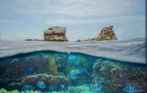 阿亚姆佩ROOM LA ISLA的珊瑚礁和岛屿的水下景观