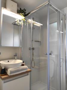 德拉格Zen Zone Premium Mobile Home的一间带玻璃淋浴和水槽的浴室
