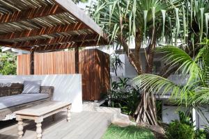拜伦湾Sirens的一个带长凳和棕榈树的庭院