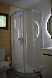 维拉·雷阿尔MOM - Mateus On Modular的带淋浴和卫生间的浴室