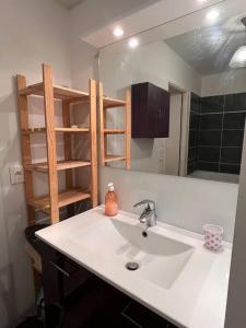 马西Spacious & cosy flat的一间带水槽和镜子的浴室