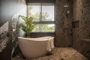 台中市智玺会所的带浴缸的浴室和植物
