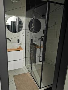 格但斯克Apartament przy Bursztynowym Stadionie的一间带玻璃淋浴和水槽的浴室