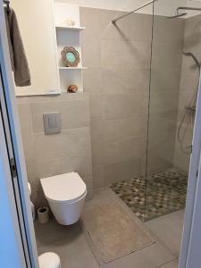 拉萨尔勒班Oasis Pied Dans L'Ô, La Saline Les Bains.的一间带卫生间和玻璃淋浴间的浴室