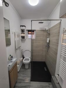 UngheniEduard House Room的带淋浴、卫生间和盥洗盆的浴室