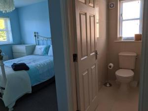 Appletree House的一间蓝色卧室,配有一张床和一个卫生间