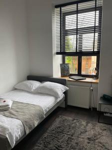 海乌姆Apartament w Centrum przy Studni 102m2的一间卧室配有一张床、一张书桌和一个窗户。
