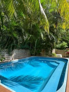 拉戈莱特villa chez Lisa的一座种植了棕榈树的蓝色游泳池