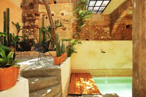 圣多明各FIXIE LOFTS Slow Life Villa的一座室内泳池,里面种植了盆栽植物