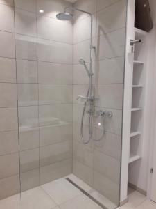 安嫩海姆Apartment Augenweide的带淋浴的浴室和玻璃门