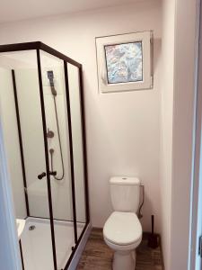什图罗沃Residence 7的一间带卫生间和淋浴的小浴室