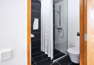 尼堡Nyborg Strand Hotel & Konference的带淋浴和卫生间的浴室