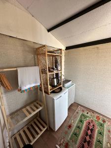 博德鲁姆Mandra - Nature Living的一间带冰箱和炉灶的小厨房