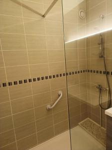 德勒Appartement Dreux的带淋浴的浴室和玻璃门