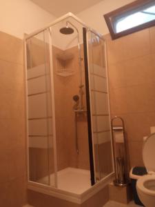 奥林匹亚达argiri appartments的浴室里设有玻璃门淋浴