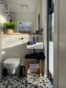 哈嫩克利博克斯维斯Cozy Cabins I Tiny House Seecontainer的一间带卫生间、水槽和镜子的浴室