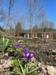 哈嫩克利博克斯维斯Cozy Cabins I Tiny House Seecontainer的院子里鲜花盛开的房子