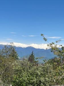 泰拉维Farmer's Guest House的享有山脉和雪覆盖山脉的美景