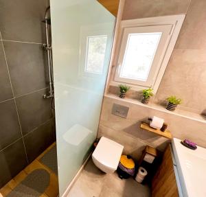 斯卡拉拉乔伊Villa Stemily的带淋浴、卫生间和盥洗盆的浴室
