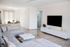 哈尔基斯Εrmis Mini Suite #2的带沙发和平面电视的客厅