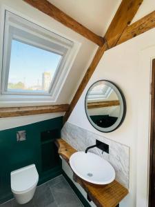 StreteTHE APPLE LOFT - Rustic luxury one bed cottage的一间带水槽、镜子和卫生间的浴室