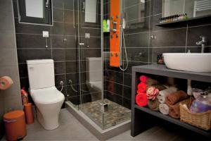 塞利亚尼蒂卡Seacret Apartments的浴室配有卫生间、盥洗盆和淋浴。