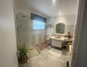 阿格德角VILLA NATURISTE JO&SPA ANNA'BELLA Luxury Suites "naturist couples only"的带淋浴、盥洗盆和镜子的浴室