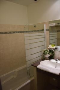 卡尔斯小瑞莱斯酒店的一间带水槽和淋浴的浴室