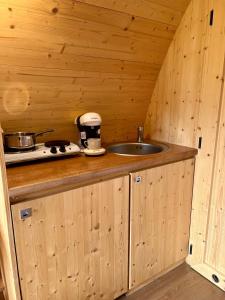塞博登Gold Camping Seeboden的小木屋内的厨房设有水槽