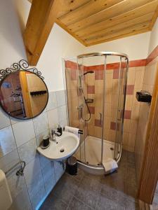 布莱德Koča na Taležu的带淋浴和盥洗盆的浴室