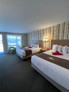 巴港巴尔港汽车旅馆的酒店客房设有两张床和大窗户。