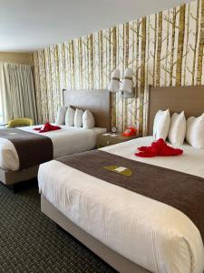 巴港巴尔港汽车旅馆的酒店客房,设有两张红色弓床