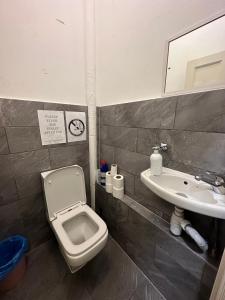 伦敦Thanet Hotel Annex的一间带卫生间和水槽的浴室