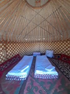 博孔巴耶沃Yurt camp Meiman Ordo的圆顶帐篷内的两张蓝色床和地毯