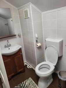 莱普沙Casa Mi&Ra的一间带卫生间和水槽的浴室