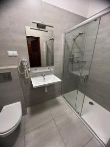 平丘夫Nad Starą Nidą ***的浴室配有卫生间、盥洗盆和淋浴。