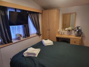 滨海克拉克顿Vacation Escape - Valley Farm -Clacton-on-sea - Holiday Park的一间卧室设有一张绿色的床和一个窗户。